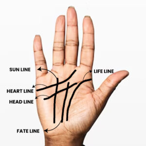 Palmistry Consultant