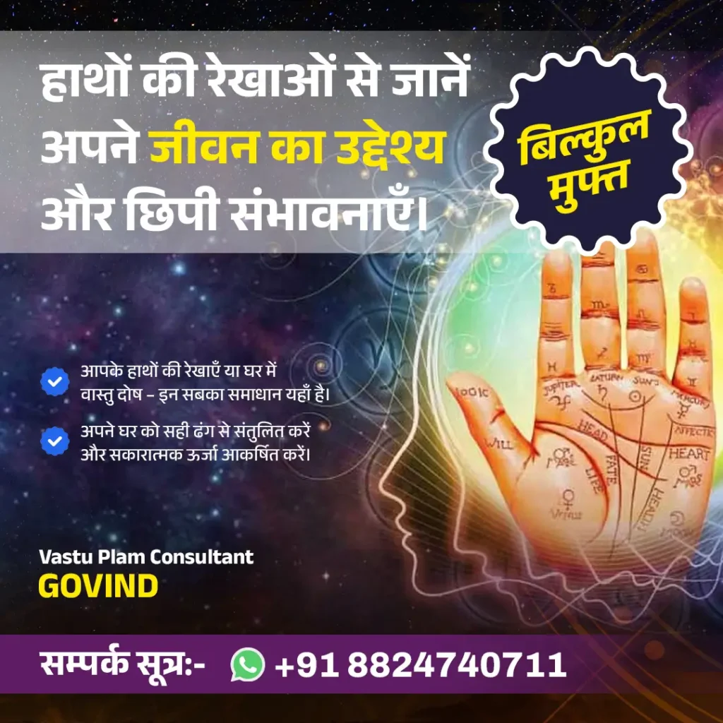Palmistry Consultant